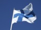 Käyttäjän 'Lotum' Avatar