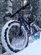 Käyttäjän 'Fatbike' Avatar