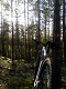 Käyttäjän 'MVH' Avatar